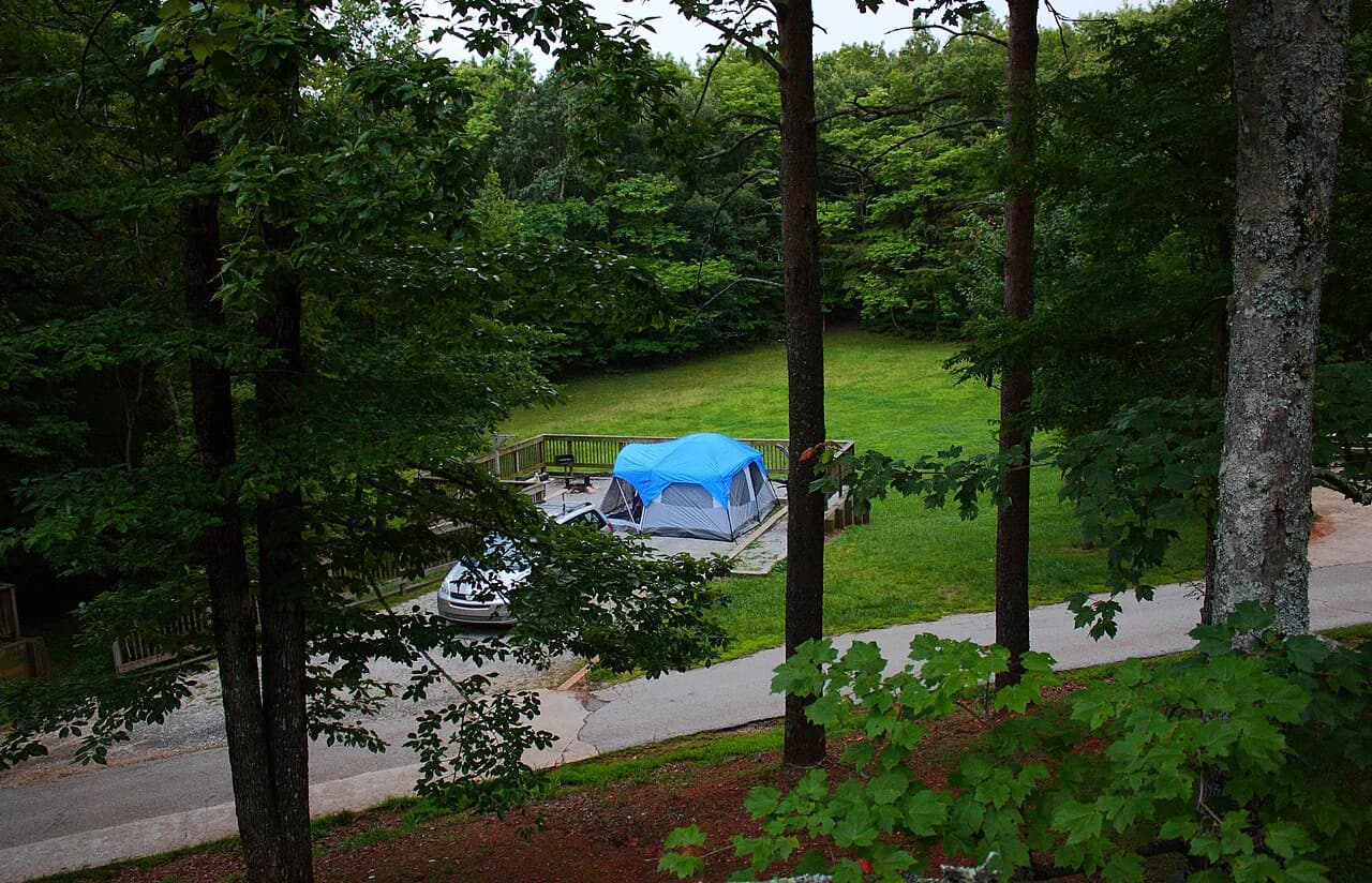 Amicalola Falls with Kids: Trails, Stairs, and the Drive-Up Shortcut