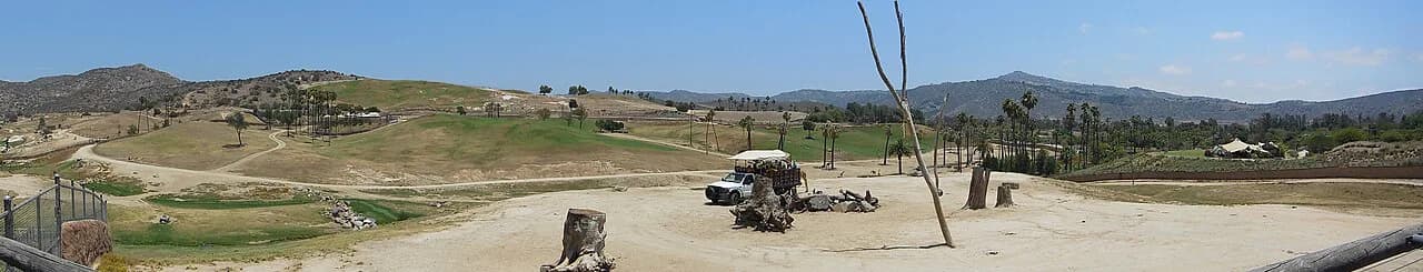 San Diego Safari Park vs Zoo: The 2026 Family Comparison Guide