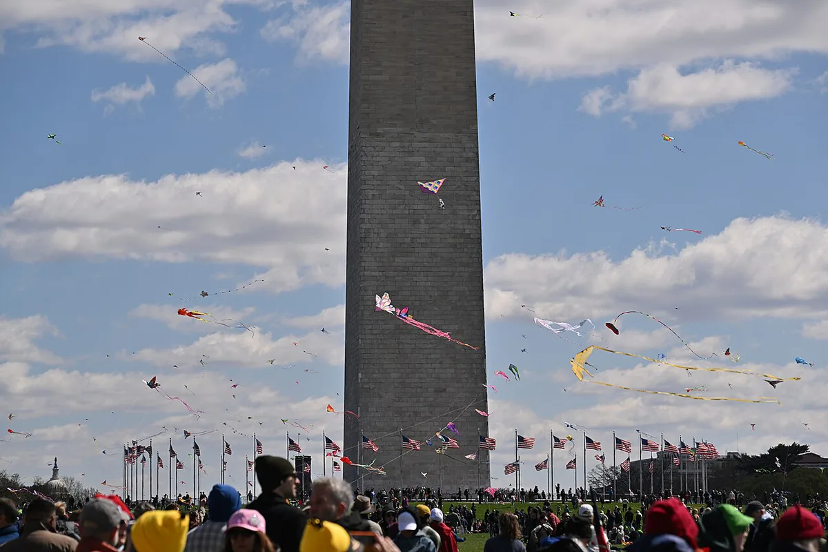 Cherry blossoms ringing the Tidal Basin with the Jefferson Memorial, Washington DC — 1
