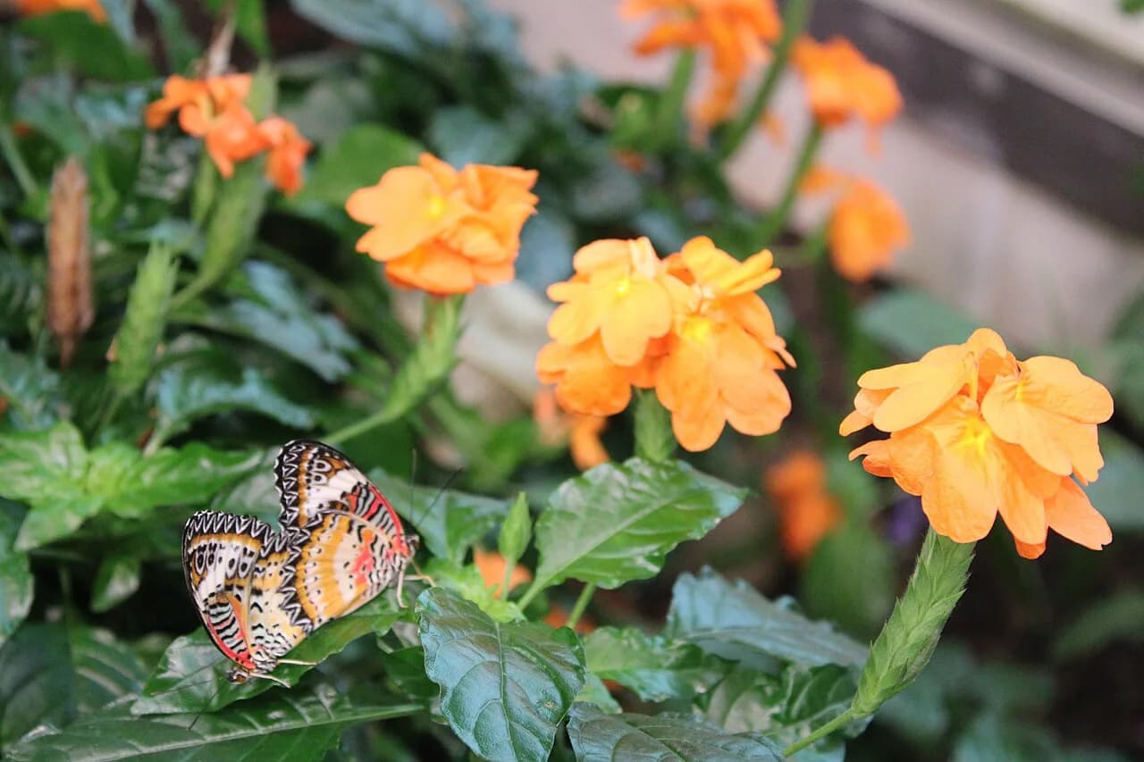 Hershey Gardens and ZooAmerica with Kids: 2026 Family Guide