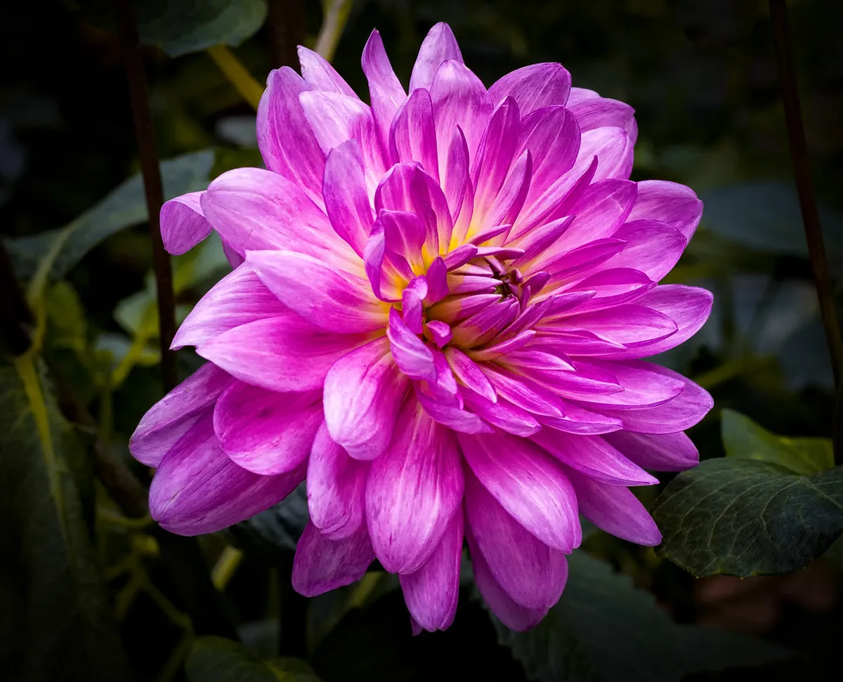 Southeast Asia